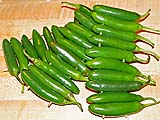 Young serrano peppers skewered for grilling