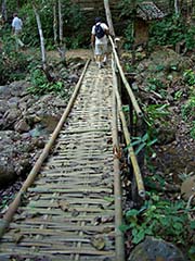 Fragile bridge on the Mae Sakut trail