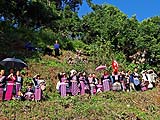 Spectators seeking shade, Hmong New Year 2013 at Mae Sa Mai