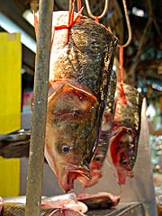 Fish heads at the market, Chinatown alley, Bangkok