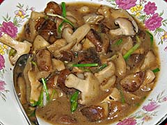 Wild mushrooms in Ban Rak Thai