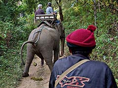 Going in the trail