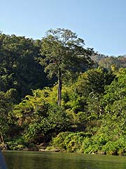 Even more Mae Pai scenery