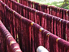 Thread drying at Pa-Da Museum