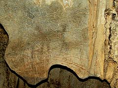 Prehistoric painting at Tham Lot