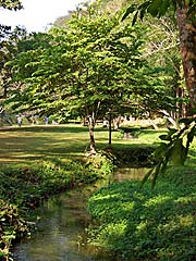 Peaceful stream at Thampla Fish Cave