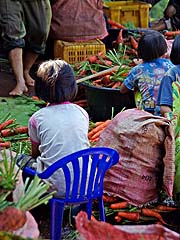 Cleaning carrots, Mae Sa Mai