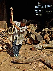Chopping wood, Mae Sa Mai