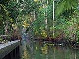 Quiet side canal, Damnoen Saduak Floating Market