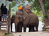 Elephants ready for passengers at the loading platform, Mae Hong Son