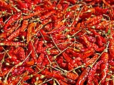 Chillies drying in the sun, Hmong village, Mae Hong Son