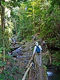 Convenient staircase in the trail, Mae Sakut Nature Trail, Mae Hong Son