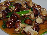 Shiitake mushrooms, Intira, Mae Sariang