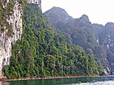 Trees thriving on karsts, Cheow Lan Lake, Khao Sok park