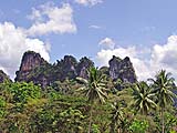 Limestone karsts among the foliage, along the road to Khao Sok park