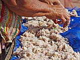 Laying out shrimp to dry on Koh Yoh, Songkhla