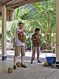 Jefferson playing coconut tree at Kadaejae Monkey School, Surat Thani
