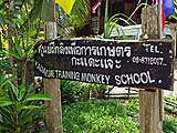 Welcome to Kadaejae Training Monkey School, Surat Thani