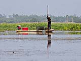 Fisherman emptying traps at Thale Noi