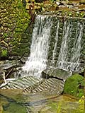 Little waterfall on the Giant Trees walking trail, Alishan