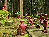 Patriotic sculpture garden by the hostel