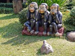Familiar monkeys at Wat Nantaram, Chiang Kham